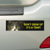 Autocollant De Voiture Bumper Cat dit ne pas augmenter mème (En voiture)