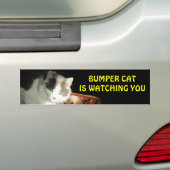 Autocollant De Voiture Bumper Cat regarde 2 (En voiture)
