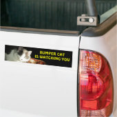 Autocollant De Voiture Bumper Cat regarde 2 (Sur camion)