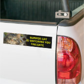 Autocollant De Voiture Bumper Cat regarde TAILGATE 20 (Sur camion)