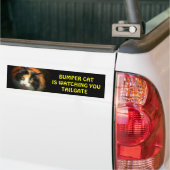 Autocollant De Voiture Bumper Cat regarde TAILGATE 26 (Sur camion)