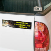 Autocollant De Voiture Bumper Cat regarde TAILGATE 2.5 (Sur camion)