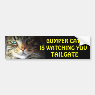 Autocollant De Voiture Bumper Cat regarde TAILGATE 2.5