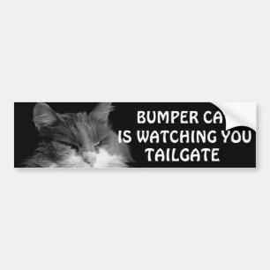 Autocollant De Voiture Bumper Cat regarde TAILGATE 36 Mème