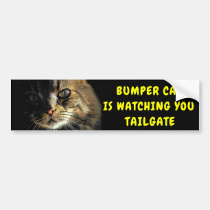 Autocollant De Voiture Bumper Cat regarde TAILGATE 43