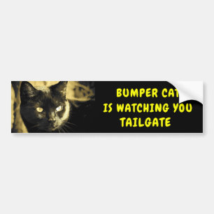 Autocollant De Voiture Bumper Cat regarde TAILGATE 44