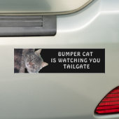 Autocollant De Voiture Bumper Cat regarde TAILGATE 45 (En voiture)