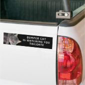 Autocollant De Voiture Bumper Cat regarde TAILGATE 45 (Sur camion)