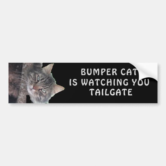 Autocollant De Voiture Bumper Cat regarde TAILGATE 45 (Devant)