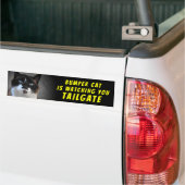 Autocollant De Voiture Bumper Cat regarde TAILGATE 46 (Sur camion)