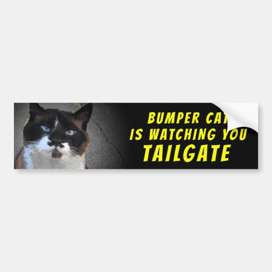 Autocollant De Voiture Bumper Cat regarde TAILGATE 46 (Devant)