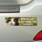 Autocollant De Voiture Bumper Cat regarde TAILGATE 8 (En voiture)