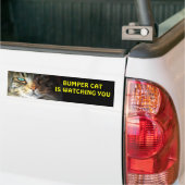 Autocollant De Voiture Bumper Cat vous regarde 4 (Sur camion)