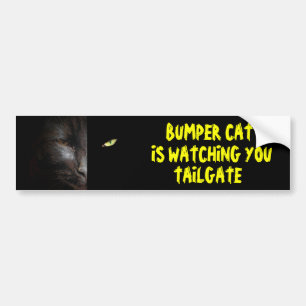 Autocollant De Voiture Bumper Cat vous regarde Tailgate 37