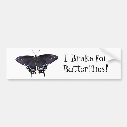 Autocollant De Voiture Bumper Sticker I Frein pour papillons Swallowtail (Devant)