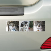 Autocollant De Voiture Bumpersticker (En voiture)