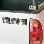 Autocollant De Voiture Bumpersticker (Sur camion)