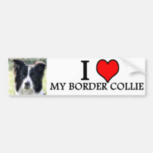 Autocollant De Voiture bumpersticker border collie