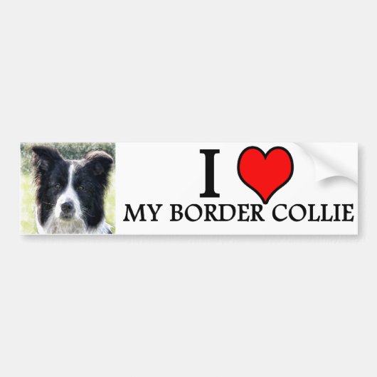 Autocollant De Voiture bumpersticker border collie (Devant)