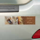 Autocollant De Voiture Bumpersticker de lion (En voiture)