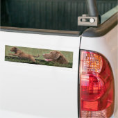 Autocollant De Voiture Bumpersticker de Retriever de la Baie de (Sur camion)