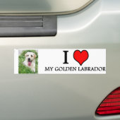 Autocollant De Voiture bumpersticker LABRADOR D'OR (En voiture)