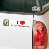 Autocollant De Voiture bumpersticker LABRADOR D'OR (Sur camion)
