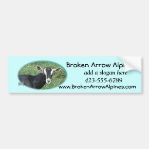 Autocollant De Voiture Bumpersticker-personnaliser de Chester