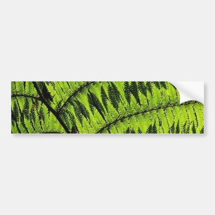 Autocollant De Voiture Bumpersticule à feuilles vertes