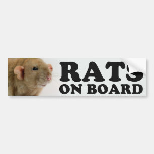 Autocollant De Voiture (Burmese) Rats on board