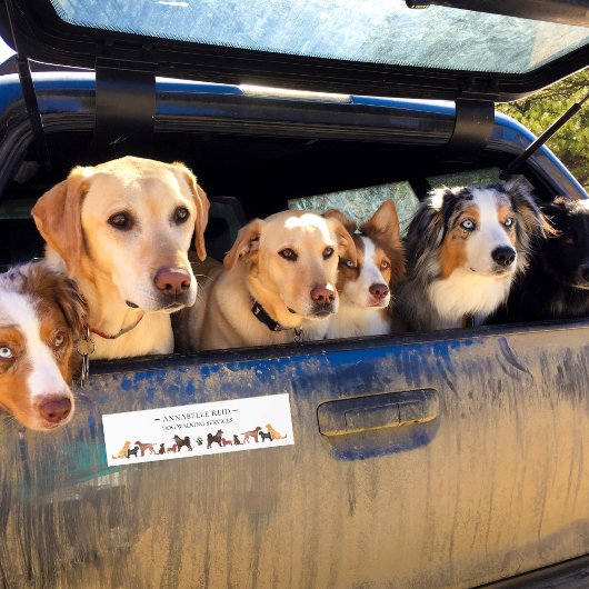 Autocollant De Voiture Business Chien Walker Animaux de compagnie Sitter 