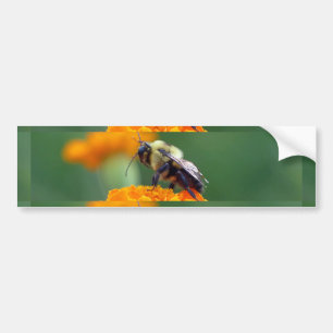 Autocollant De Voiture Busy Bee