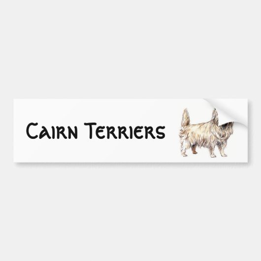 Autocollant De Voiture Cairn Terrier (Devant)