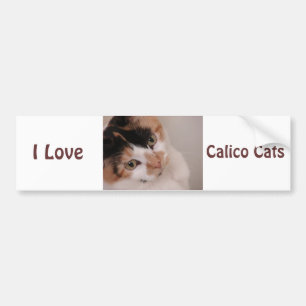 Autocollant De Voiture Calico Beauty Chat