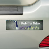 Autocollant De Voiture Canada Goose Babies I Brake For Nature (En voiture)