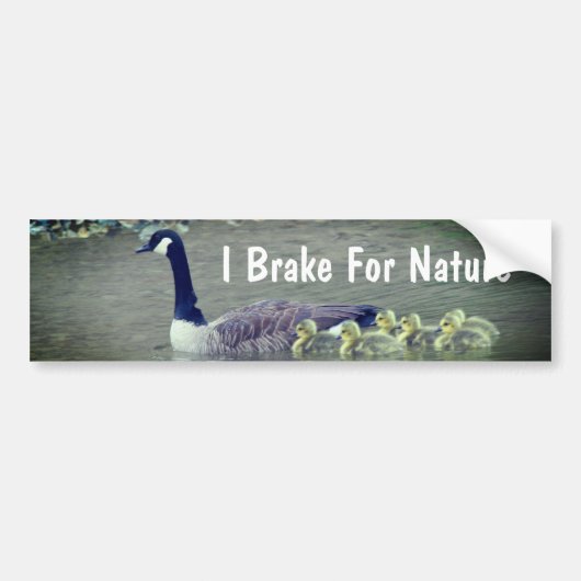 Autocollant De Voiture Canada Goose Babies I Brake For Nature (Devant)