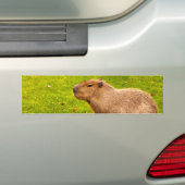 Autocollant De Voiture Capybara (En voiture)