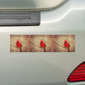 Autocollant De Voiture Cardinal (En voiture)
