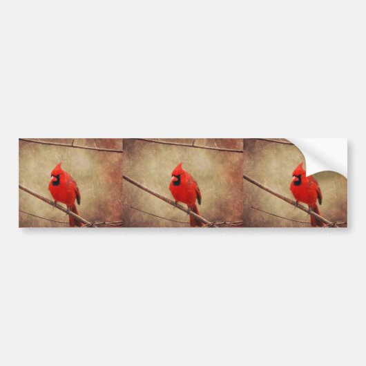 Autocollant De Voiture Cardinal (Devant)