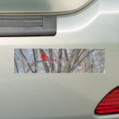Autocollant De Voiture Cardinal et Chickadee (En voiture)