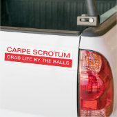 Autocollant De Voiture Carpe Diem ? (Sur camion)