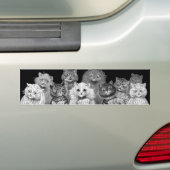 Autocollant De Voiture Carte de jeu de chats, Louis Wain (En voiture)
