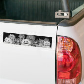 Autocollant De Voiture Carte de jeu de chats, Louis Wain (Sur camion)