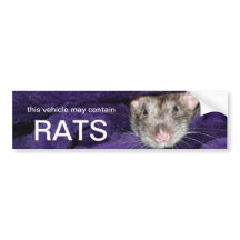 ce véhicule peut contenir des rats