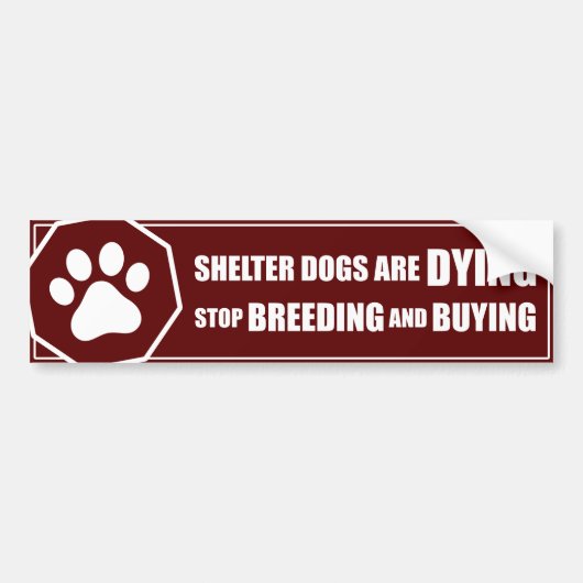 Autocollant De Voiture "Cessez de multiplier et acheter " (Devant)