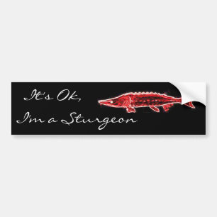Autocollant De Voiture C'est bon, je suis un esturgeon