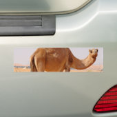 Autocollant De Voiture Chameau pour l'adhésif pour pare-chocs d'Arabes (En voiture)