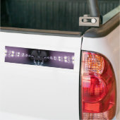 Autocollant De Voiture Chanson Violette (Sur camion)