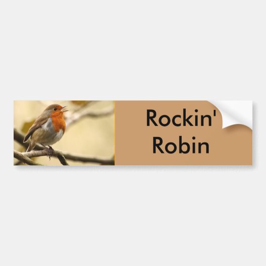 Autocollant De Voiture Chant Robin (Devant)
