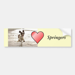 Autocollant De Voiture Charlie Springer
